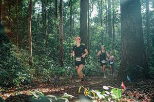 BIB: 
                            <button type="button" onclick="openModal(26073881)" class="btn btn-primary btn-sm float-right btn-popup" data-toggle="modal" data-target=".modal-high-quality">
                        <i class="fas fa-shopping-cart"></i> Add to Cart
                    </button>
                                            <button type="button" onclick="isThisMe(26073881, true)" class="btn btn-success btn-sm float-right btn-popup btn-isme hidden" data-toggle="tooltip" data-placement="bottom" title="นี่คือรูปของคุณใช่ไหม คลิกที่นี่เพื่อเอาเข้าอัลบั้ม">
                        <i class="fas fa-plus"></i> Add to album
                    </button>
                    <button type="button" onclick="isThisMe(26073881, false)" class="btn btn-warning btn-sm float-right btn-popup btn-isnotme hidden">
                        <i class="fas fa-ban"></i> Remove from album
                    </button>